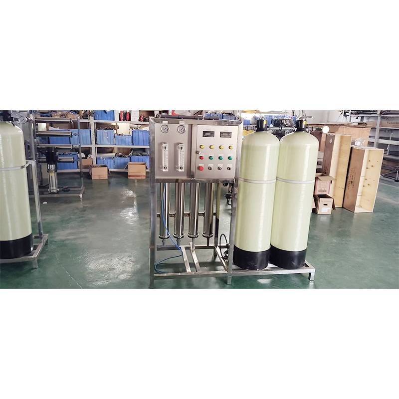 1000LPH Pure Water Equipment